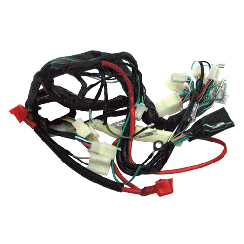 Alambrado Completo para Arnes Italika FT125 Rialli